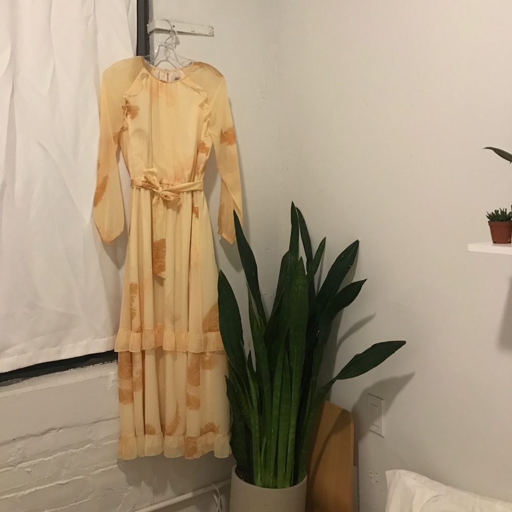 Aritzia Little Moon Verbenna Dress